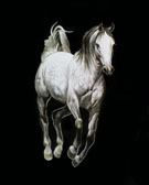 Arabian Equine art - Moment of Suspension